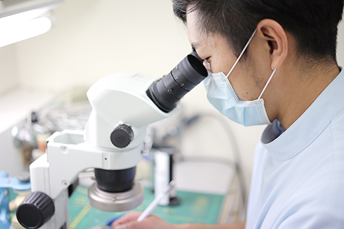 併設歯科技工所との連携により実現する品質